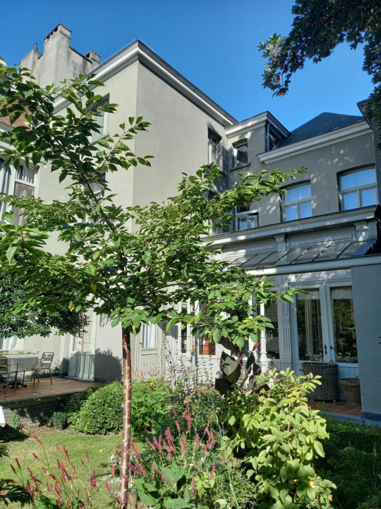 Huis Dujardin Bed&Breakfast Антверпен Экстерьер фото