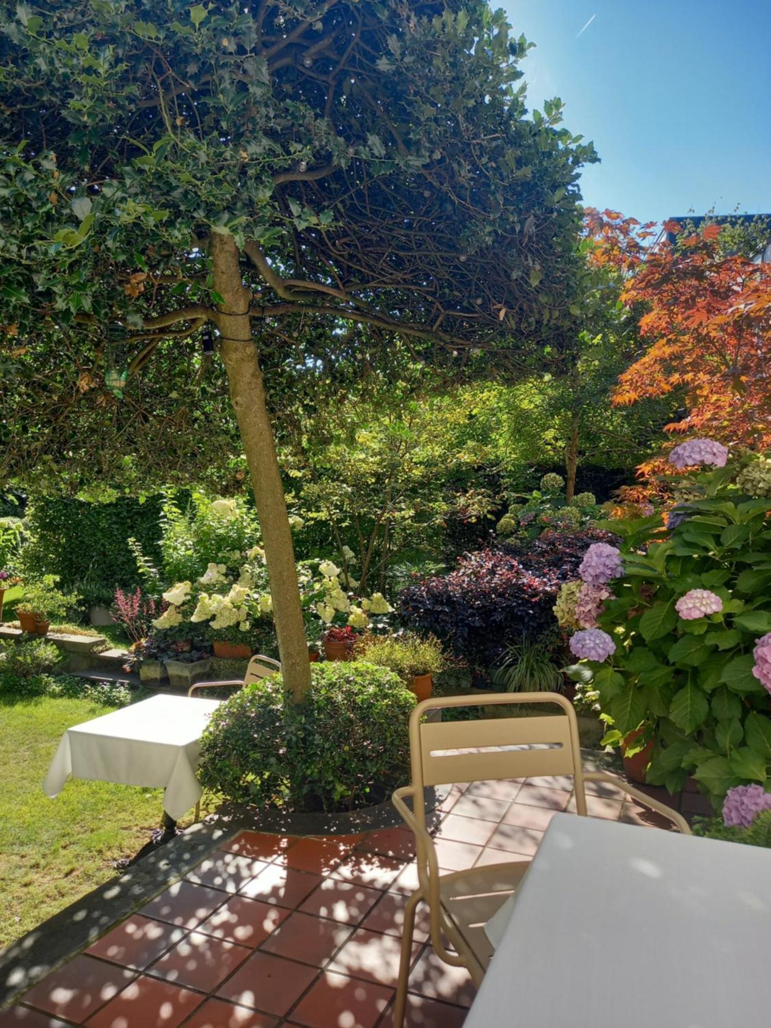 Huis Dujardin Bed&Breakfast Антверпен Экстерьер фото